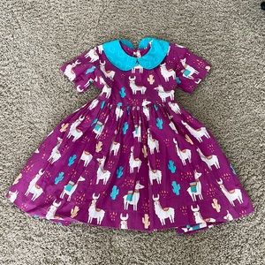 Eleanor Rose Llamas & Cacti Paisley Dress size 7-8